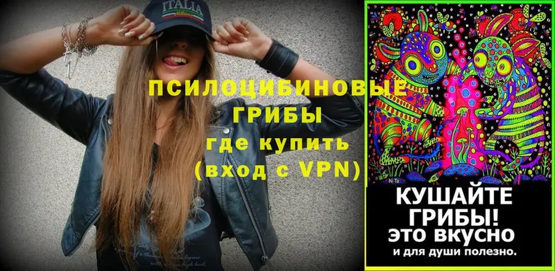 blacksprut как зайти  купить  сайты  Пудож  Галлюциногенные грибы MAGIC MUSHROOMS 